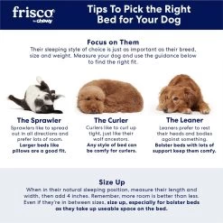 Frisco Quilted Orthopedic Pillow Cat & Dog Bed W/Removable Cover 10 Frisco Quilted Orthopedic Pillow Cat & Dog Bed W/Removable Cover -Pet Dog Supplies Shop 165196 PT7. AC SS1800 V1668203950