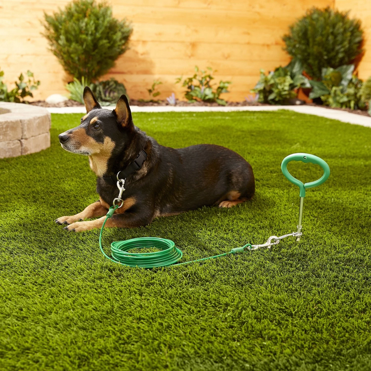 Frisco Tie Out Cable, Large 2 Frisco Tie Out Cable, Large - Image 2