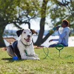 Frisco Easy Grip Stake With Tie Out Cable, Large 10 Frisco Easy Grip Stake With Tie Out Cable, Large -Pet Dog Supplies Shop 166447 PT5. AC SS1800 V1701796826