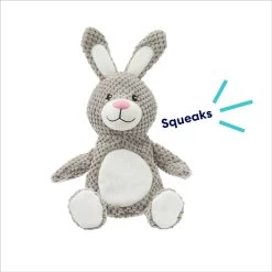 Frisco Bunny Textured Plush Squeaky Dog Toy -Pet Dog Supplies Shop 174693 PT2. AC SS1800 V1695670750