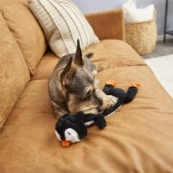 Frisco Penguin Skinny Plush Squeaky Dog Toy -Pet Dog Supplies Shop 174707 PT2. AC SS1800 V1573492672