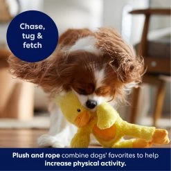 Frisco Duck Plush With Inside Rope Squeaky Dog Toy -Pet Dog Supplies Shop 174723 PT4. AC SS1800 V1695671059