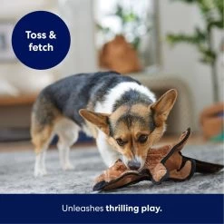 Frisco Beaver Stuffing-Free Flat Plush Squeaky Dog Toy 10 Frisco Beaver Stuffing-Free Flat Plush Squeaky Dog Toy -Pet Dog Supplies Shop 174729 PT4. AC SS1800 V1695671063