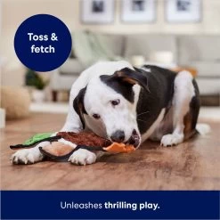 Frisco Mallard Stuffing-Free Flat Plush Squeaky Dog Toy 10 Frisco Mallard Stuffing-Free Flat Plush Squeaky Dog Toy -Pet Dog Supplies Shop 174731 PT5. AC SS1800 V1686579082