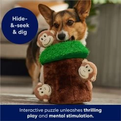 Frisco Monkeys In Tree Hide & Seek Puzzle Plush Squeaky Dog Toy -Pet Dog Supplies Shop 174759 PT5. AC SS1800 V1702598595
