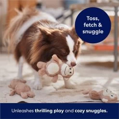 Frisco Monkeys In Tree Hide & Seek Puzzle Plush Squeaky Dog Toy Refills -Pet Dog Supplies Shop 174768 PT5. AC SS1800 V1691784249