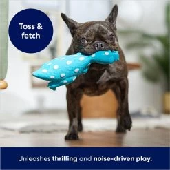 Frisco Dinosaur Latex Squeaky Dog Toy -Pet Dog Supplies Shop 174770 PT3. AC SS1800 V1686579138