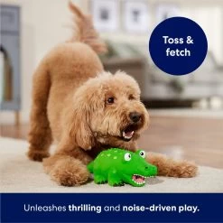 Frisco Alligator Latex Squeaky Dog Toy -Pet Dog Supplies Shop 174772 PT3. AC SS1800 V1686579212
