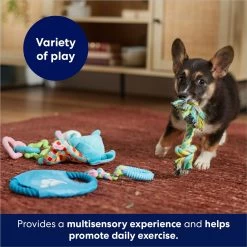 Frisco Little Friends Plush, Flyer & TPR Variety Pack Dog Toy -Pet Dog Supplies Shop 177816 PT5. AC SS1800 V1691783909