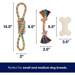 Frisco Jungle Pals Plush & Rope Variety Pack Dog Toy 7 Frisco Jungle Pals Plush & Rope Variety Pack Dog Toy -Pet Dog Supplies Shop 177819 PT2. AC SS1800 V1686579629