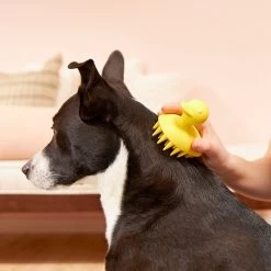 Frisco Rubber Duckie Dog & Cat Curry Brush 8 Frisco Rubber Duckie Dog & Cat Curry Brush -Pet Dog Supplies Shop 206849 PT4. AC SS1800 V1680186100