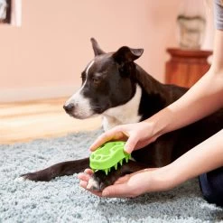 Frisco Bone Dog Curry Brush -Pet Dog Supplies Shop 206851 PT4. AC SS1800 V1680186155