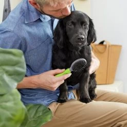 Frisco Cat & Dog Combo Brush, Mini -Pet Dog Supplies Shop 206857 PT4. AC SS1800 V1680186386