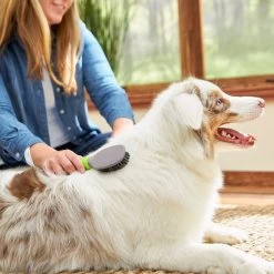 Frisco Cat & Dog Bristle Brush -Pet Dog Supplies Shop 206859 PT5. AC SS1800 V1680186099