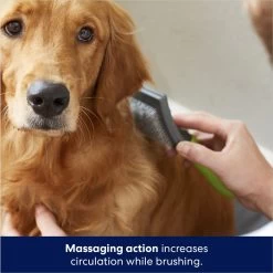 Frisco Self-Cleaning Slicker Dog Brush -Pet Dog Supplies Shop 206863 PT5. AC SS1800 V1680186156