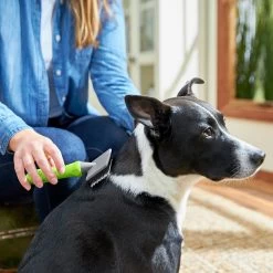 Frisco Soft Slicker Dog Brush, One Size -Pet Dog Supplies Shop 206869 PT4. AC SS1800 V1680186388