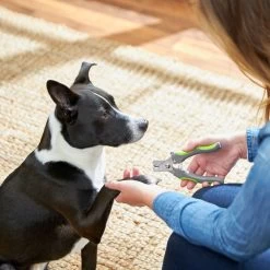 Frisco Dog Nail Trimmer -Pet Dog Supplies Shop 206877 PT4. AC SS1800 V1680186157