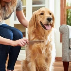 Frisco Metal Dog & Cat Comb 7 Frisco Metal Dog & Cat Comb -Pet Dog Supplies Shop 206882 PT6. AC SS1800 V1680186160