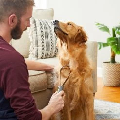 Frisco Shedding Blade Dog Brush, One Size 10 Frisco Shedding Blade Dog Brush, One Size -Pet Dog Supplies Shop 206895 PT7. AC SS1800 V1680186159