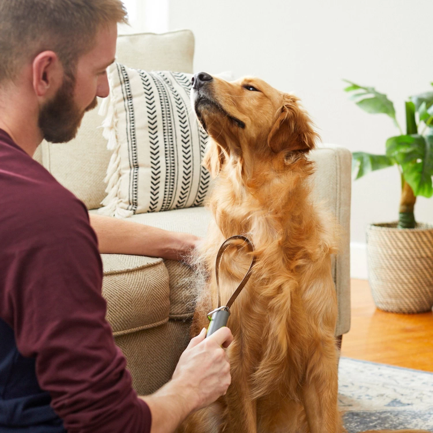 Frisco Shedding Blade Dog Brush, One Size 5 Frisco Shedding Blade Dog Brush, One Size - Image 5