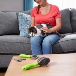 Frisco Beginner Grooming Kit For Dogs And Cats -Pet Dog Supplies Shop 206909 PT6. AC SS1800 V1680186162