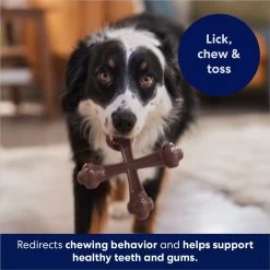 Frisco Bacon Flavor Tough Nylon Dog Chew Toy -Pet Dog Supplies Shop 213430 PT5. AC SS1800 V1691783968