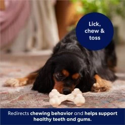 Frisco Chicken Flavor Tough Nylon Dog Chew Toy -Pet Dog Supplies Shop 213432 PT5. AC SS1800 V1691784031