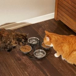 Frisco Multi Pet Feeding 4-Bowls Stainless Steel Dog & Cat Bowls, 0.5 Cup 13 Frisco Multi Pet Feeding 4-Bowls Stainless Steel Dog & Cat Bowls, 0.5 Cup -Pet Dog Supplies Shop 213787 PT6. AC SS1800 V1599091021