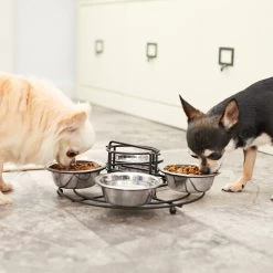 Frisco Multi Pet Feeding 4-Bowls Stainless Steel Dog & Cat Bowls, 0.5 Cup 14 Frisco Multi Pet Feeding 4-Bowls Stainless Steel Dog & Cat Bowls, 0.5 Cup -Pet Dog Supplies Shop 213787 PT7. AC SS1800 V1599090064