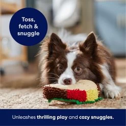 Frisco Taco Plush Squeaky Dog Toy -Pet Dog Supplies Shop 213826 PT4. AC SS1800 V1695748420