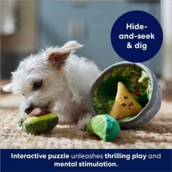 Frisco Guacamole Hide & Seek Puzzle Plush Squeaky Dog Toy -Pet Dog Supplies Shop 213830 PT5. AC SS1800 V1695748356