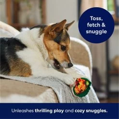 Frisco Burrito Plush Squeaky Dog Toy -Pet Dog Supplies Shop 213834 PT4. AC SS1800 V1695919984