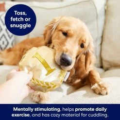 Frisco Gold Medal Round Plush Squeaky Dog Toy -Pet Dog Supplies Shop 214082 PT6. AC SS1800 V1679069984