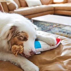 Frisco Summer Fun Plush & Rope Popsicle Dog Toy -Pet Dog Supplies Shop 214703 PT6. AC SS1800 V1597596505