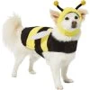 Frisco Bumble Bee Dog & Cat Costume