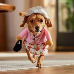 Frisco Front Walking Granny Dog & Cat Costume -Pet Dog Supplies Shop 215577 PT8. AC SS1800 V1689621333