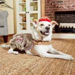 Frisco Zombie Dog & Cat Costume -Pet Dog Supplies Shop 215624 PT8. AC SS1800 V1599226580