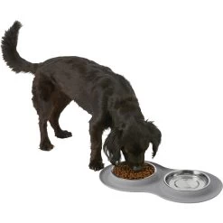 Frisco Double Stainless Steel Pet Bowl With Silicone Mat -Pet Dog Supplies Shop 215986 PT5. AC SS1800 V1605652436