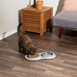 Frisco Double Stainless Steel Pet Bowl With Silicone Mat -Pet Dog Supplies Shop 215986 PT6. AC SS1800 V1605657710