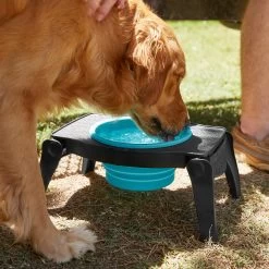 Frisco Elevated Collapsible Travel Bowl 9 Frisco Elevated Collapsible Travel Bowl -Pet Dog Supplies Shop 216013 PT7. AC SS1800 V1605653830