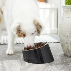 Frisco Stainless Steel Bowl With Elevated Stand -Pet Dog Supplies Shop 216020 PT7. AC SS1800 V1605662208