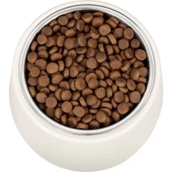 Frisco Slanted Stainless Steel Bowl -Pet Dog Supplies Shop 216028 PT4. AC SS1800 V1591020437