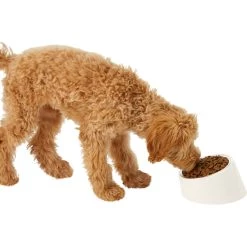 Frisco Slanted Stainless Steel Bowl -Pet Dog Supplies Shop 216028 PT6. AC SS1800 V1605666119