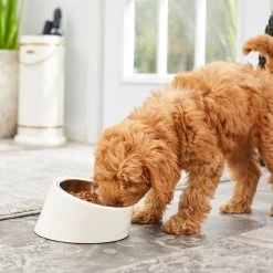 Frisco Slanted Stainless Steel Bowl -Pet Dog Supplies Shop 216028 PT7. AC SS1800 V1605653233