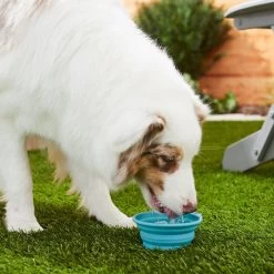 Frisco Silicone Collapsible Travel Bowl Set -Pet Dog Supplies Shop 216033 PT7. AC SS1800 V1605661035