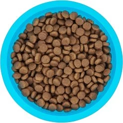 Frisco Plastic Suction Bowl, Blue -Pet Dog Supplies Shop 216037 PT4. AC SS1800 V1591020655