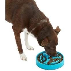 Frisco Bone Shaped Ridges Slow Feed Bowl -Pet Dog Supplies Shop 216041 PT6. AC SS1800 V1605664049