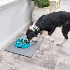 Frisco Bone Shaped Ridges Slow Feed Bowl -Pet Dog Supplies Shop 216041 PT7. AC SS1800 V1605652347