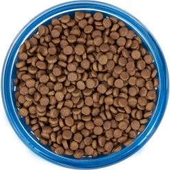 Frisco Chevron Design Glass Bowl With Silicone Sleeve -Pet Dog Supplies Shop 216049 PT4. AC SS1800 V1591020735