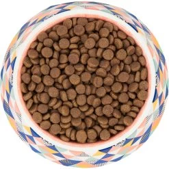 Frisco Colorful Geometric Melamine Bowl 11 Frisco Colorful Geometric Melamine Bowl -Pet Dog Supplies Shop 216054 PT4. AC SS1800 V1591020757